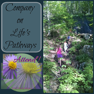 Attend! Company on Life’s Pathways