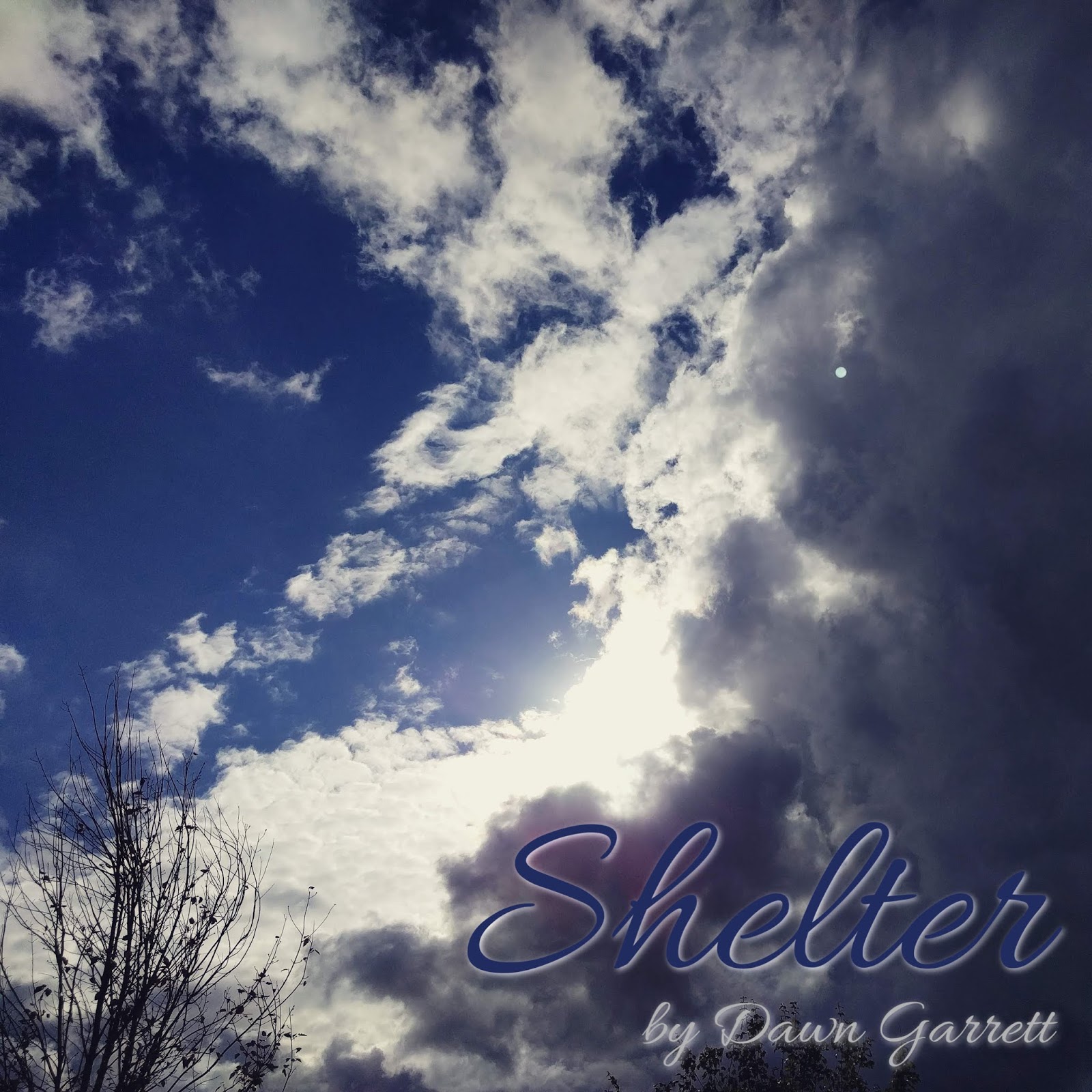 Shelter