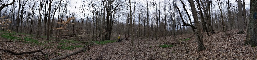 In which an indoorsy mom begins hiking