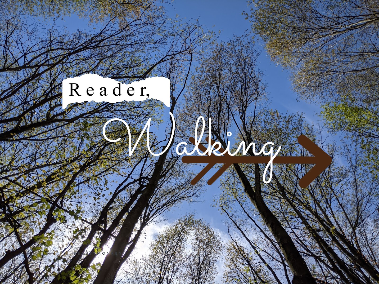 Reader, Walking