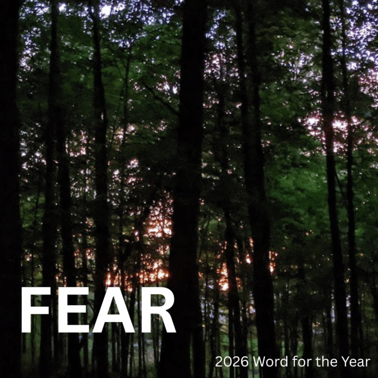 Word for the Year 2026: FEAR